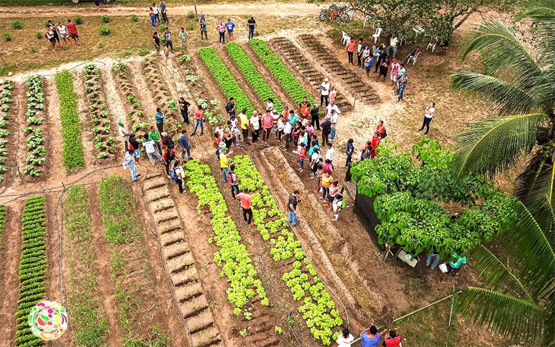 Amesa Project training that attends farmers from 24 communities in Barcarena.
