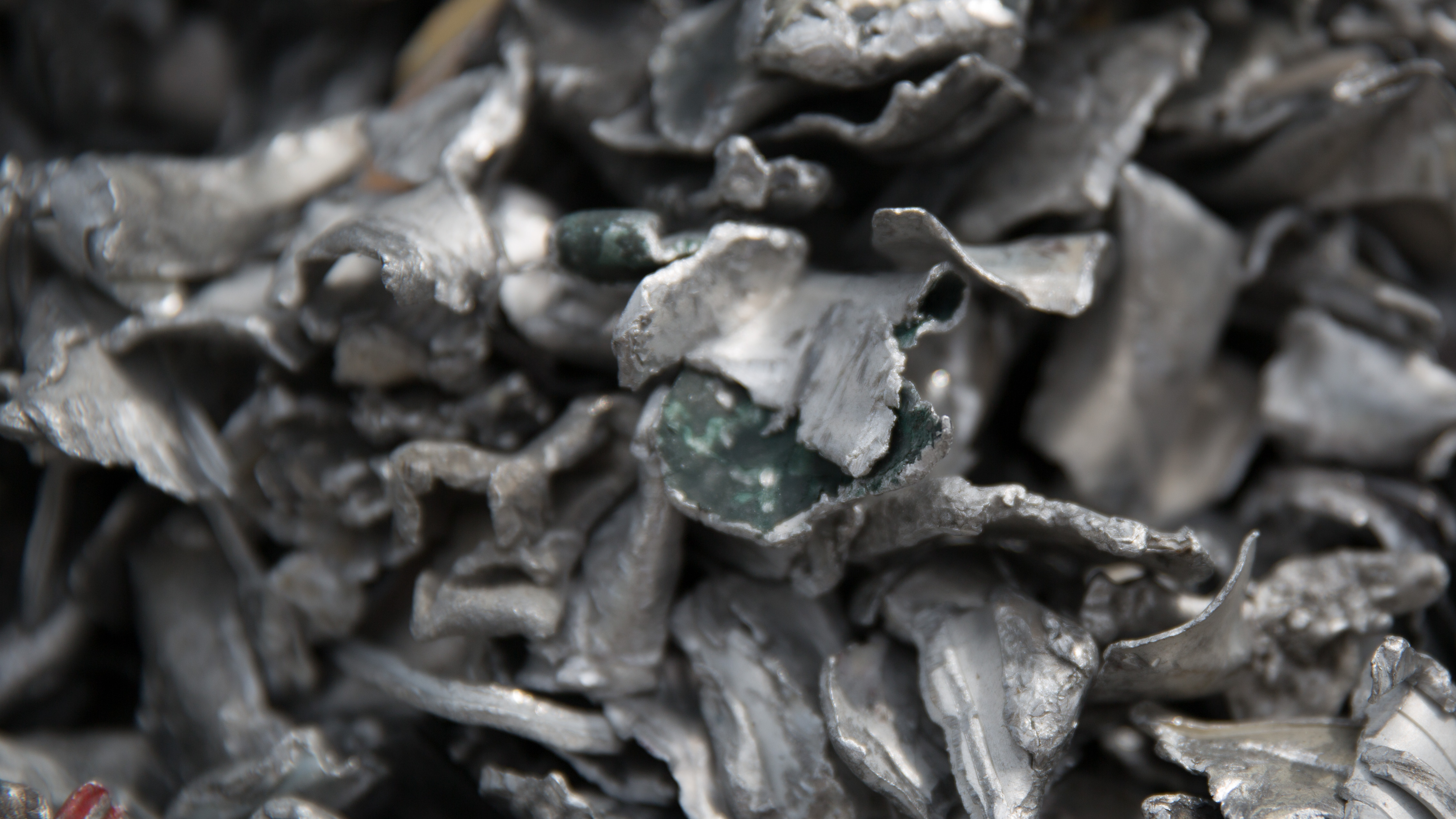 a frog on a pile of rocks