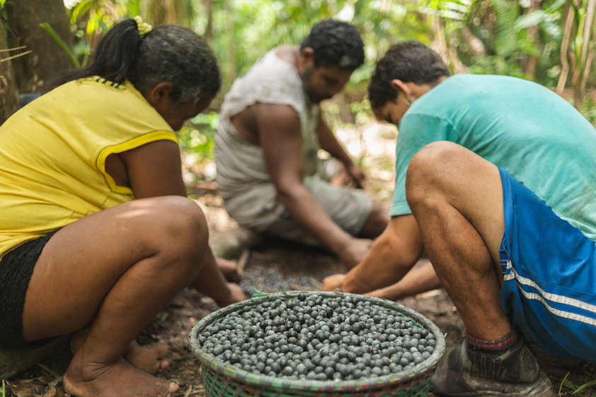 a group of people kneeling on the ground looking at a turtle